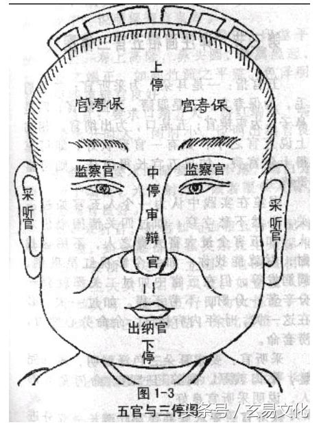 面相 五行